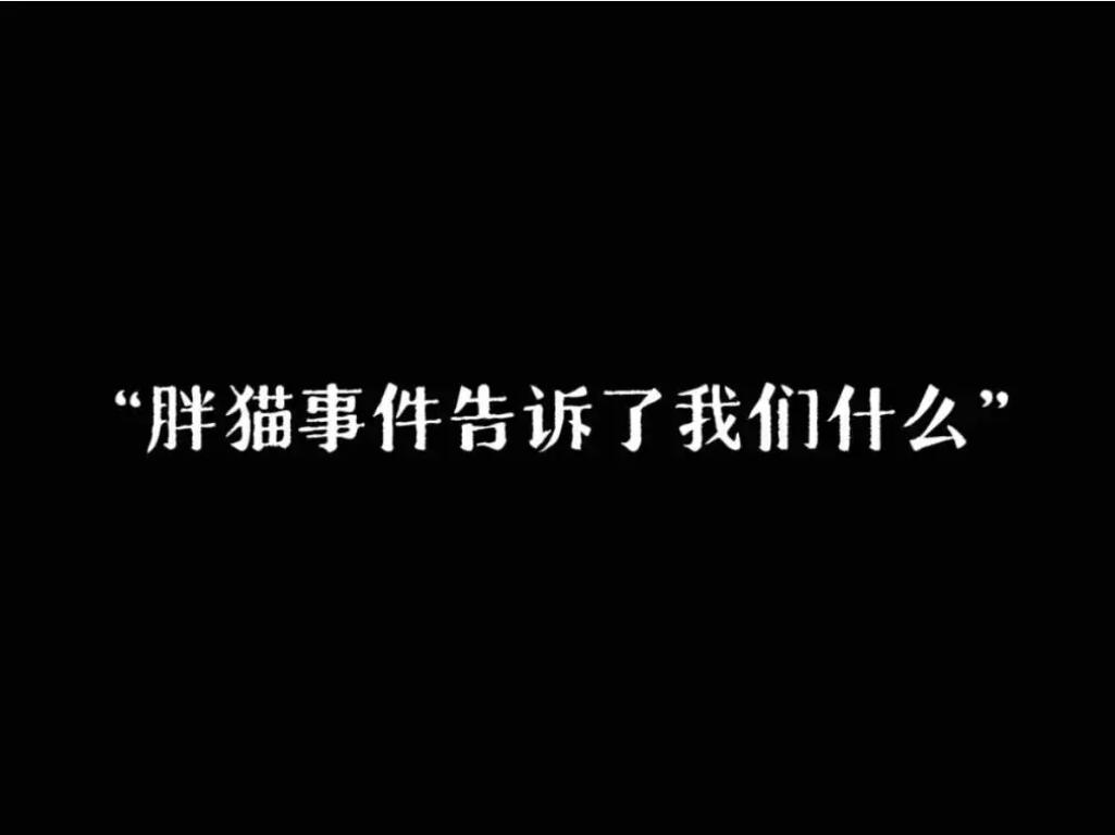 胖猫事件